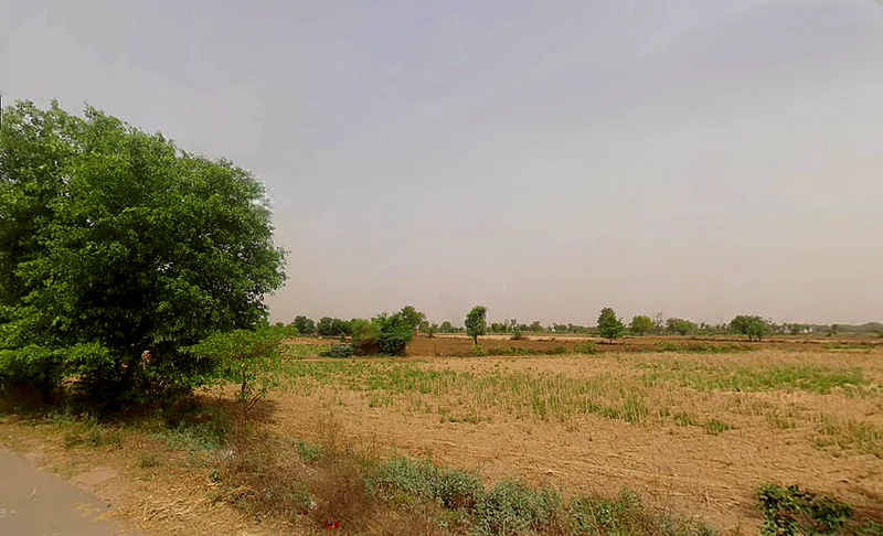 Nikhri, Haryana 123106, India preview 2