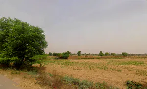 Nikhri, Haryana 123106, India preview 2