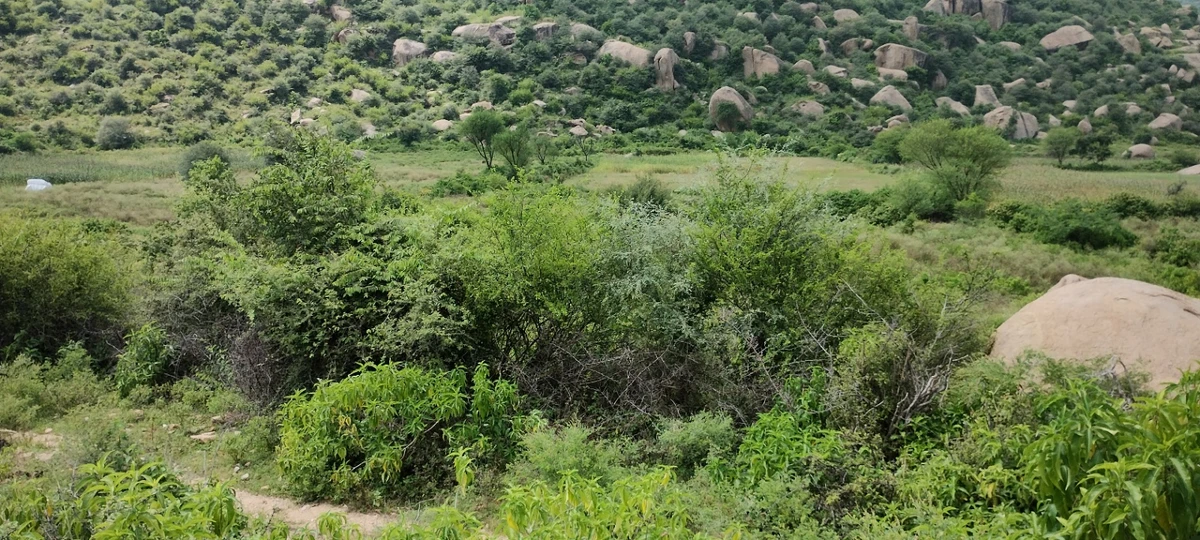 Dadhikar, Rajasthan 301001, India