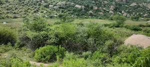 Dadhikar, Rajasthan 301001, India preview 2