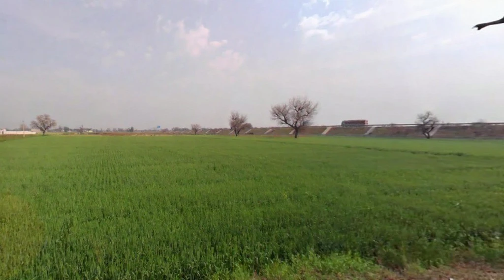 Butyana, Rajasthan 301021, India