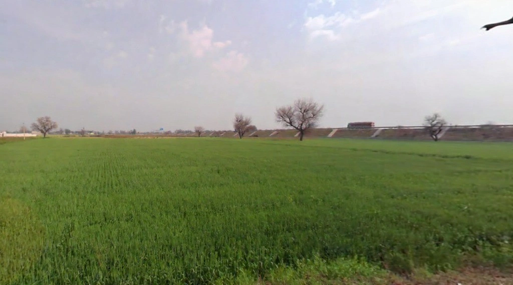 Butyana, Rajasthan 301021, India