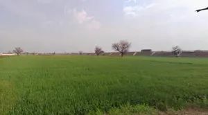 Butyana, Rajasthan 301021, India preview 3