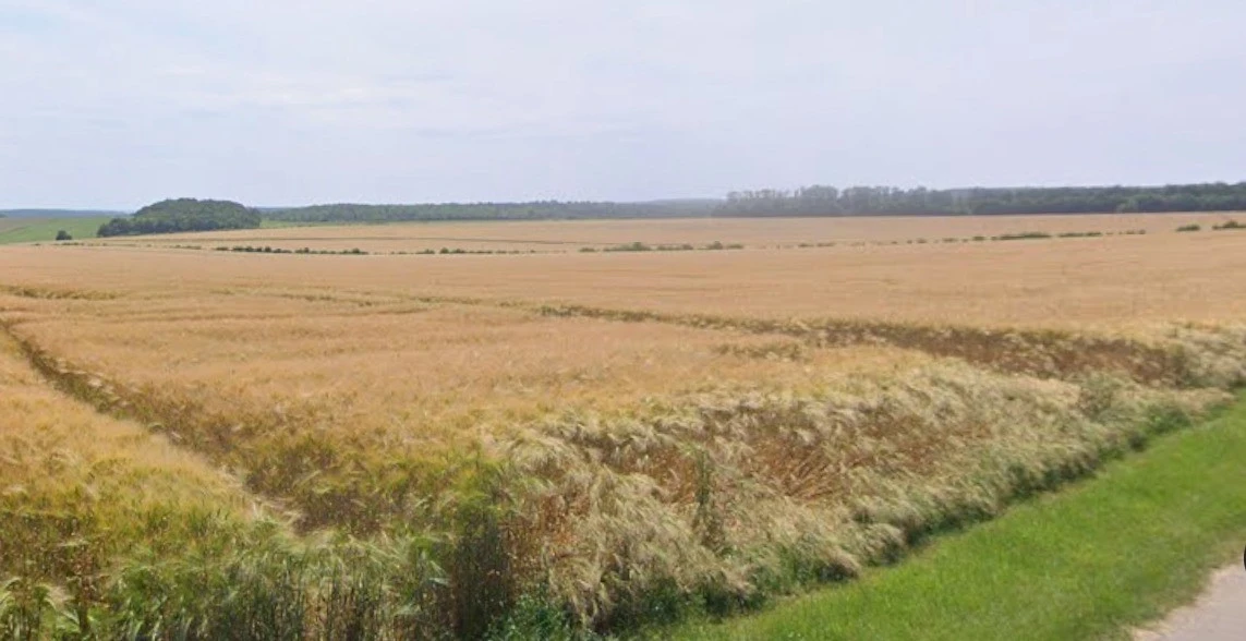 Bamhori, Madhya Pradesh 464551, India