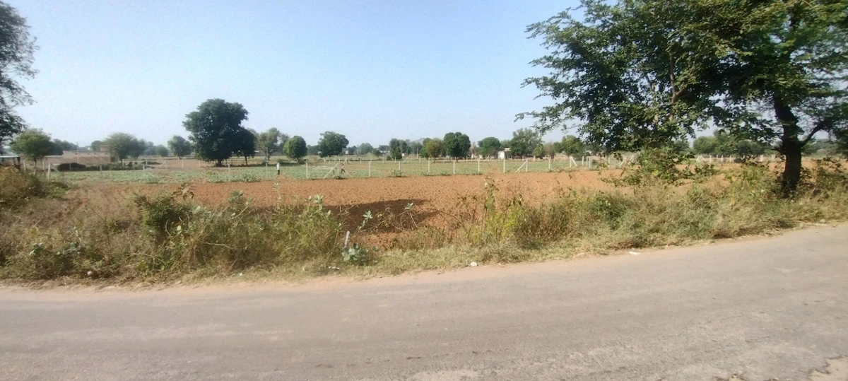 Kerwawal, Rajasthan, India
