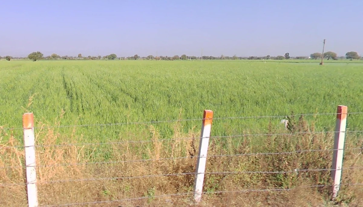 Karadiya, Madhya Pradesh 453001, India