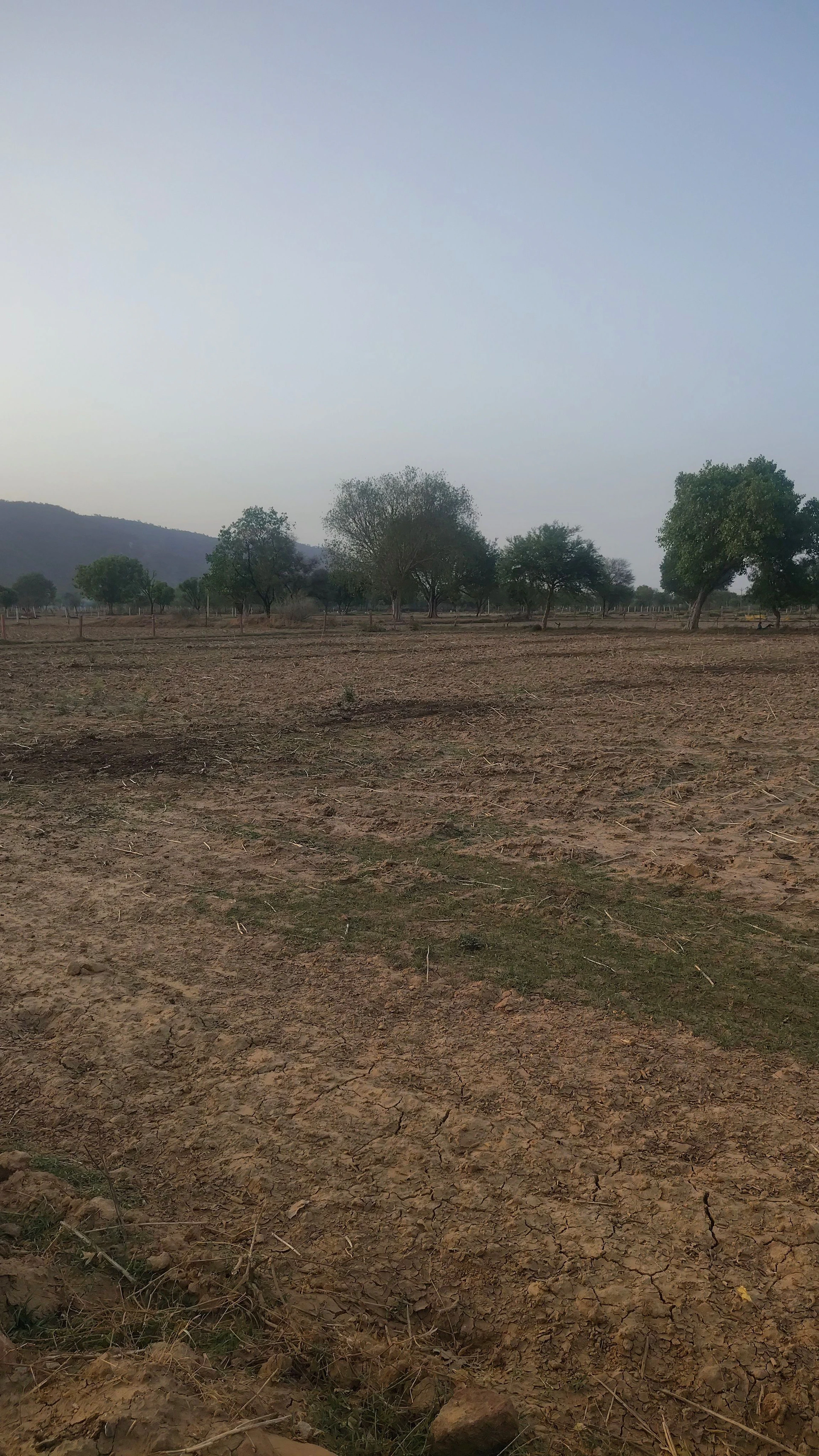 8PQR+6Q9, Kajota, Chhilodi, Rajasthan 321633, India