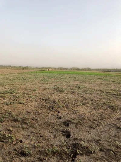 Jagadhri, Haryana, India preview 2