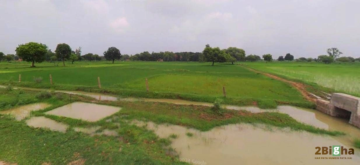 Muskara, Uttar Pradesh 210506, India