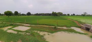 Muskara, Uttar Pradesh 210506, India preview 2