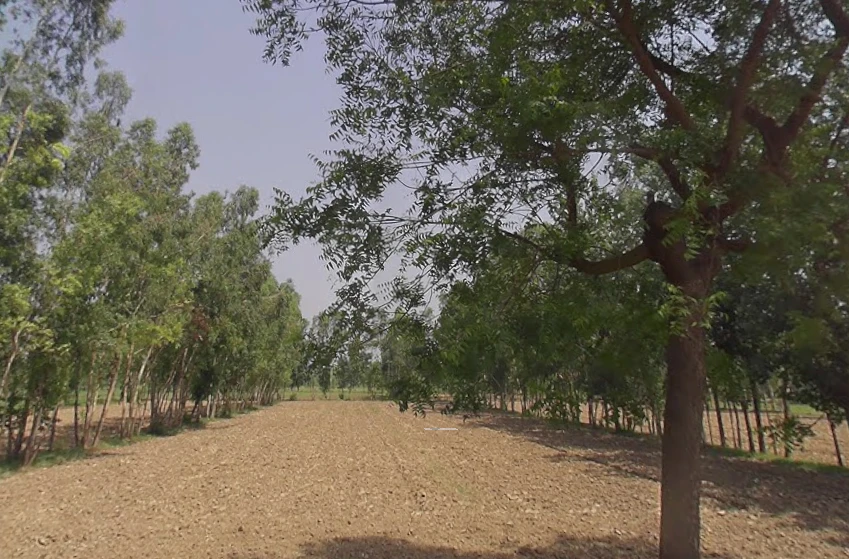 Akbarpur, Uttar Pradesh 244411, India