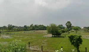 Digha Pahleza J P Setu Rd, Bihar, India preview 4