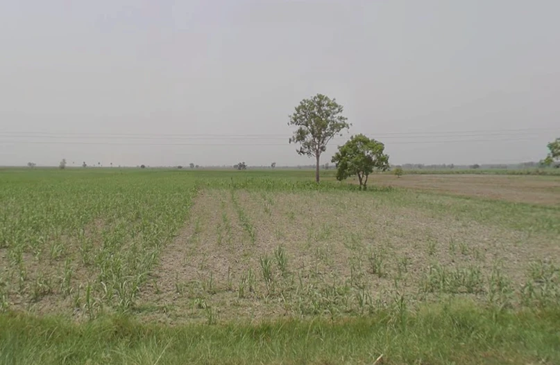 5285+345, Hastinapur, Uttar Pradesh 250404, India