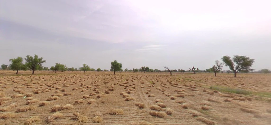 Rayla, Rajasthan 313603, India