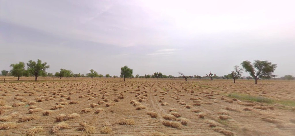 Rayla, Rajasthan 313603, India