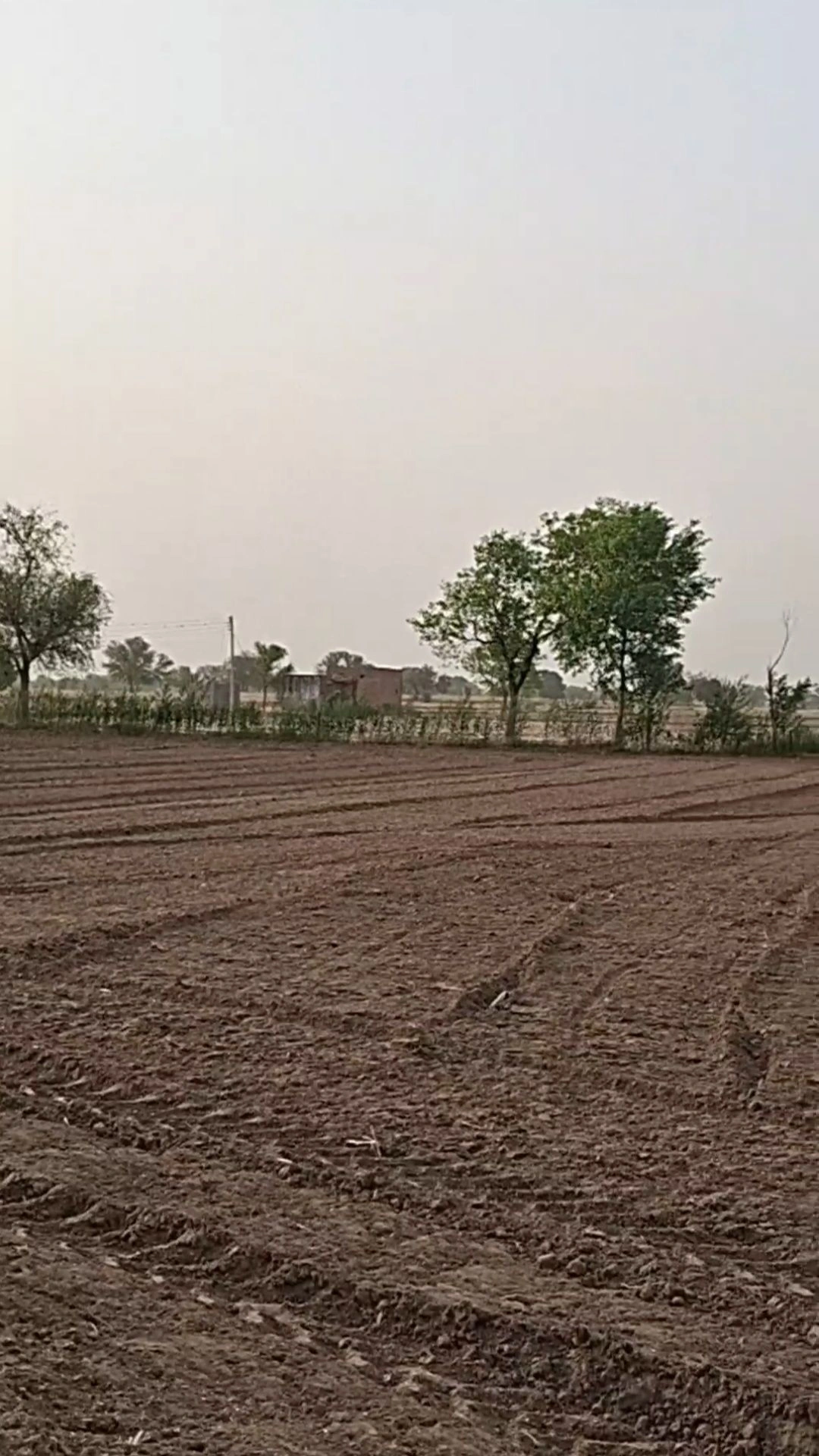 Pantawas Khurd, Dadri, Charkhi Dadri, Haryana, India