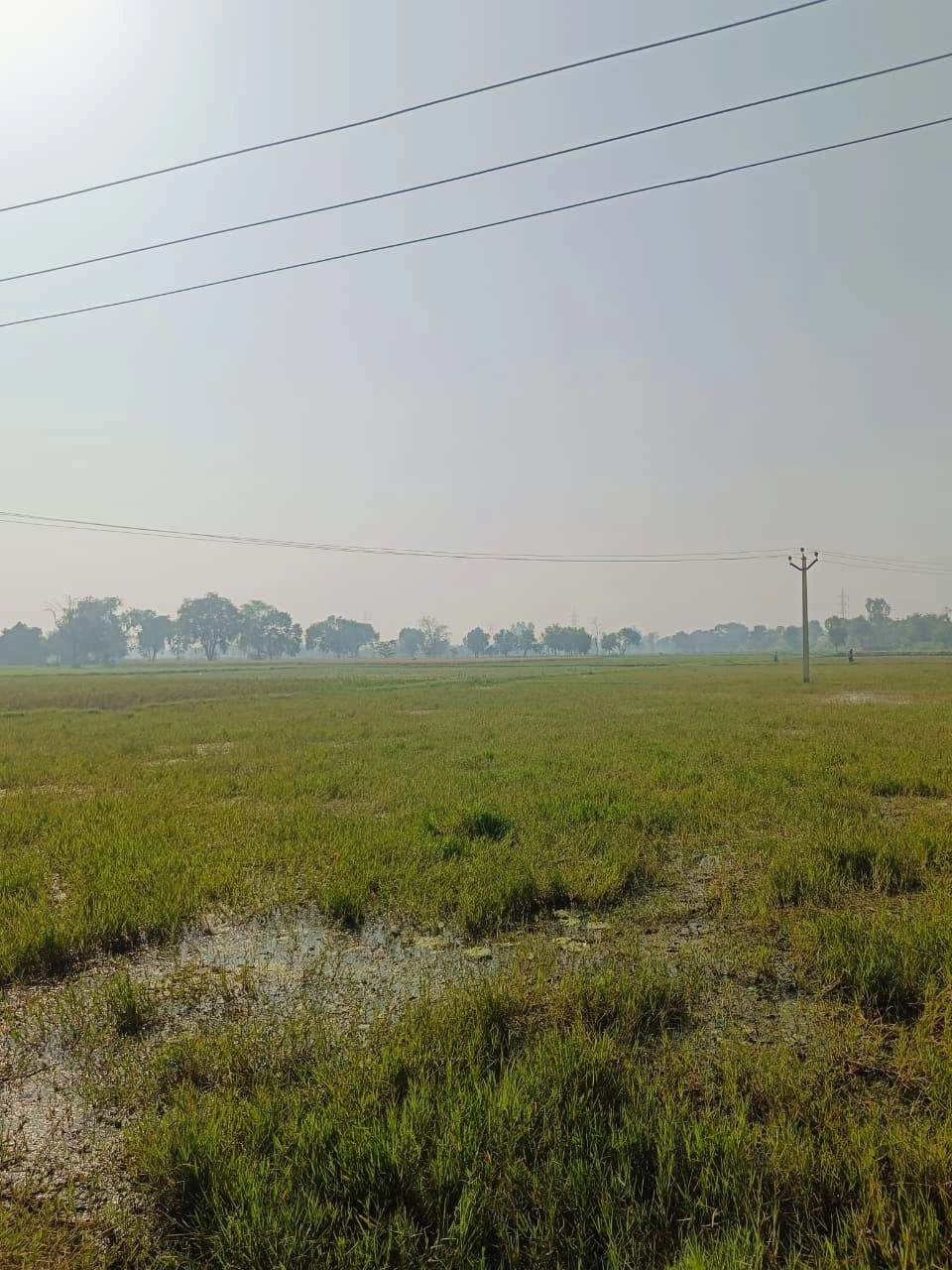Umari, Mathura, Uttar Pradesh 281123, India - Photo 2