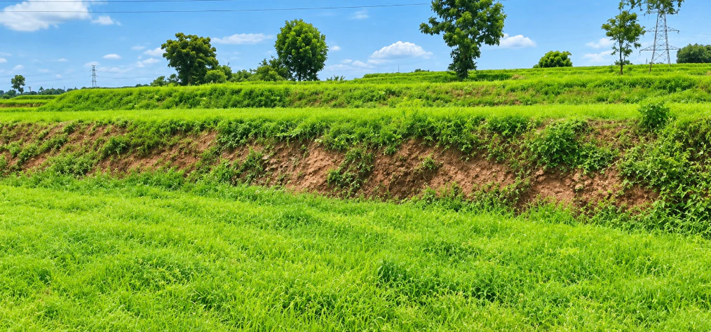HR94+442, Yadadri Bhuvanagiri, Telangana 508117, India