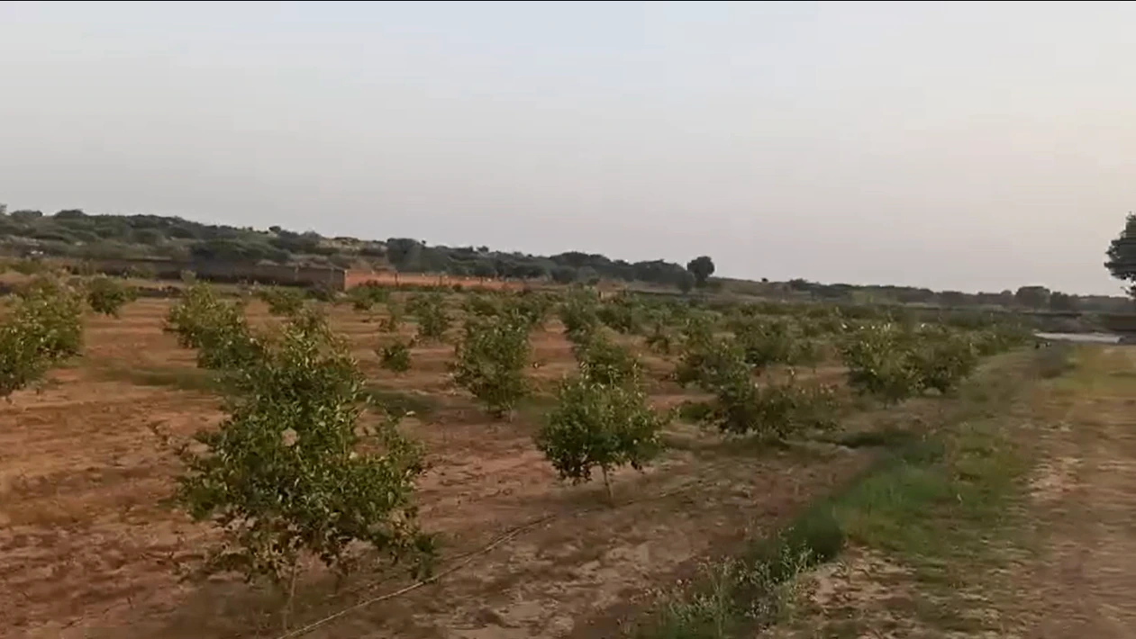 62FR+G85, Sehsaula, Haryana, India