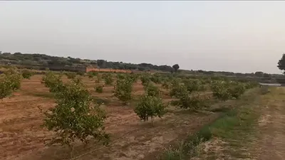 62FR+G85, Sehsaula, Haryana, India preview 2