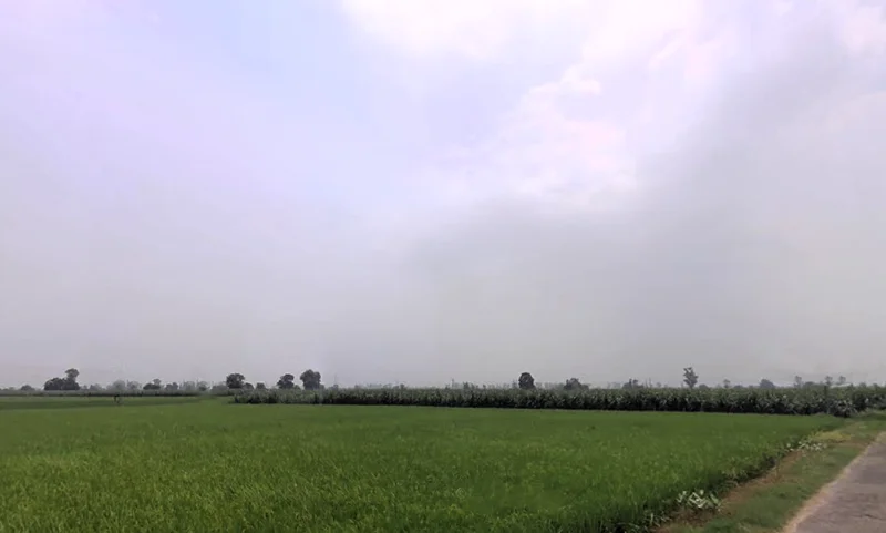 Ladwa, Haryana 136132, India preview 3