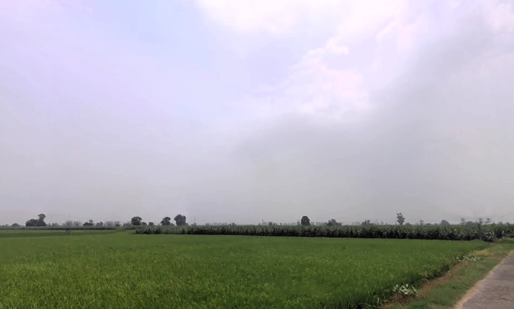 Ladwa, Haryana 136132, India