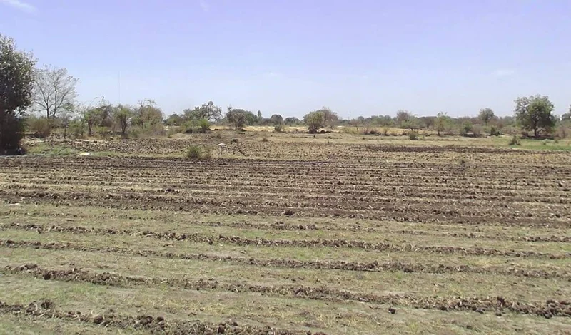 CMVW+GRV, Chorwasa, Madhya Pradesh 456443, India preview 3