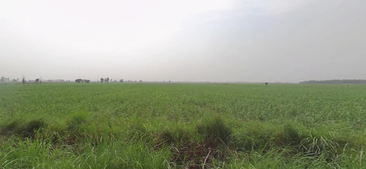 Khilwai, Uttar Pradesh 245205, India