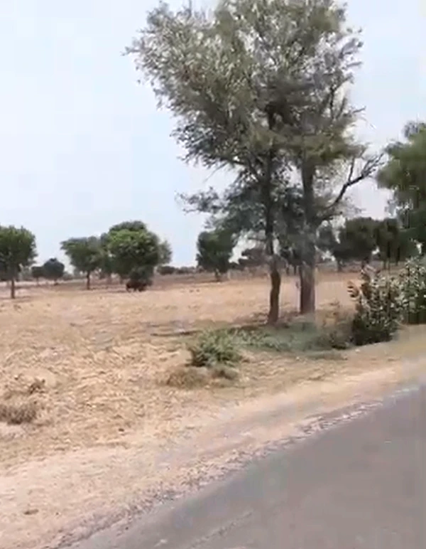 Lunkaransar, Bikaner, Rajasthan 334603, India