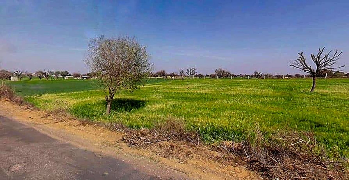 Aloda, Rajasthan 332602, India