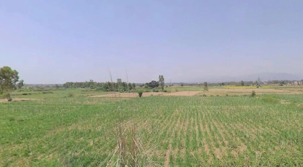 Narayangarh, Haryana 134204, India