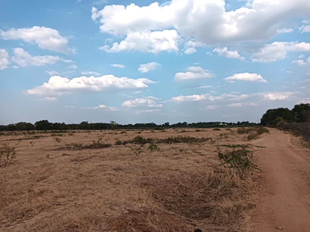 WJXJ+QV Hiriyur, Karnataka, India