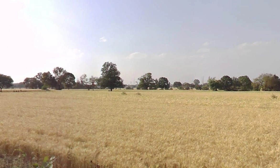 Kurawar, Madhya Pradesh 465667, India preview 2