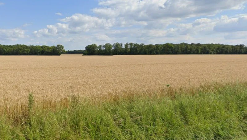 Bhatiya, Madhya Pradesh 470775, India preview 3