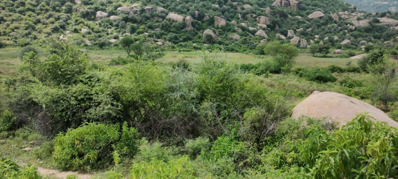 Raiseena, Haryana 122102, India