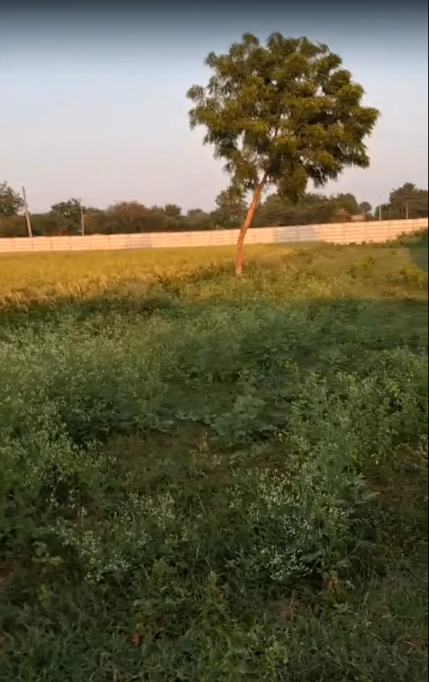 67R2+V9 Chhaprola, Palwal, Haryana, India