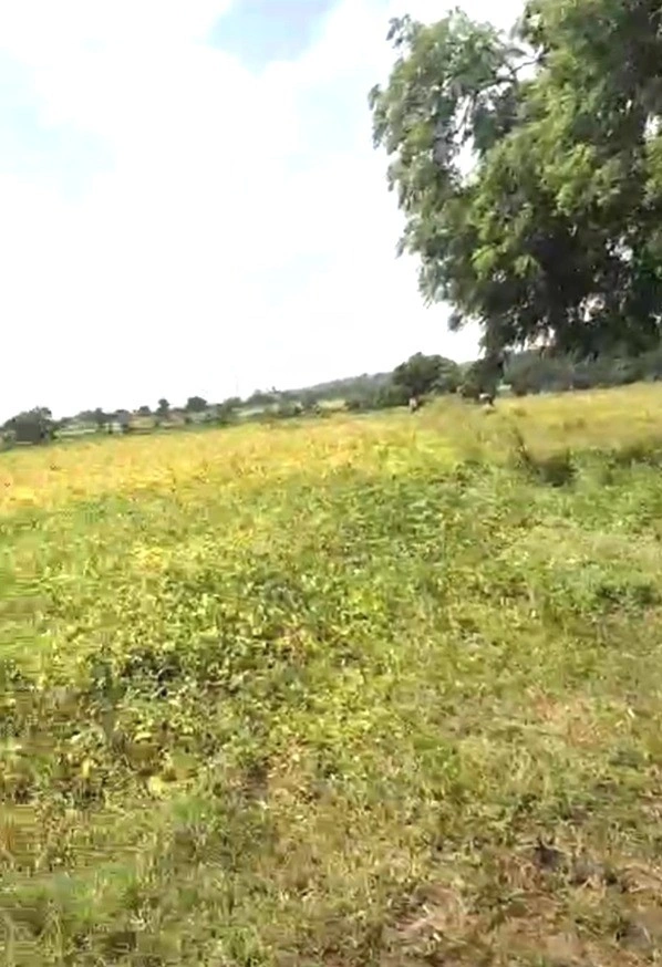 Piplya Indore, Madhya Pradesh 465110, India