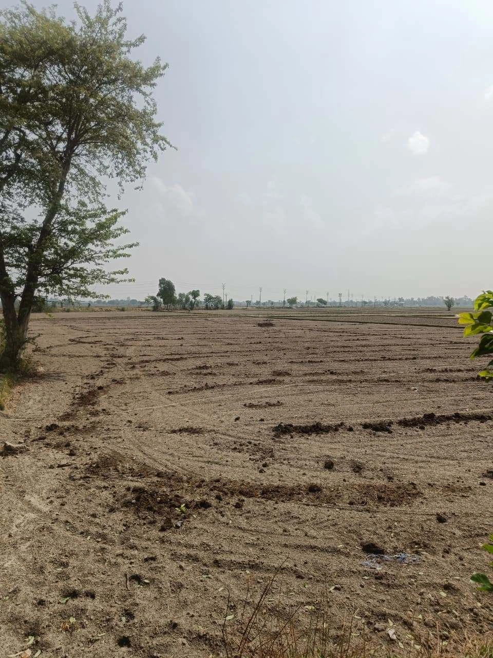 Aou, Rajasthan, India