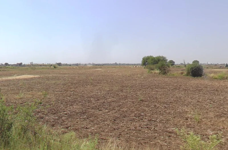 Dhuri, Punjab 148024, India preview 3