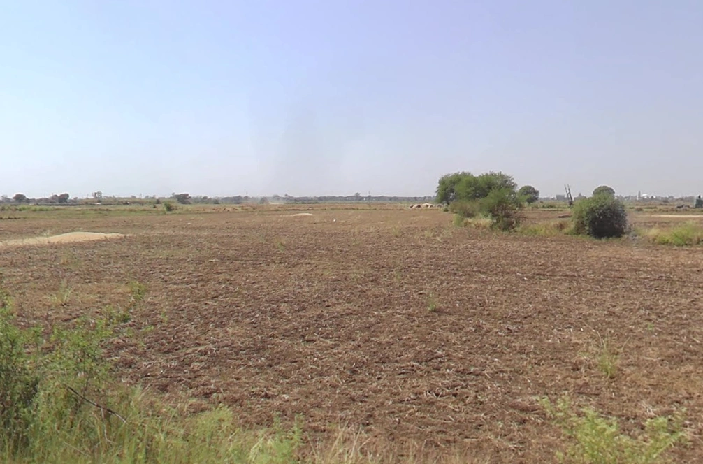 Dhuri, Punjab 148024, India