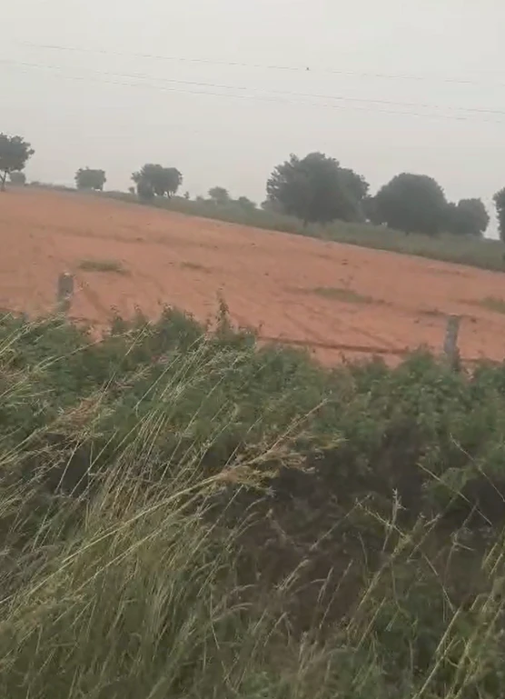 HHF4+Q5 Polkampalle, Nagarkurnool, Telangana, India