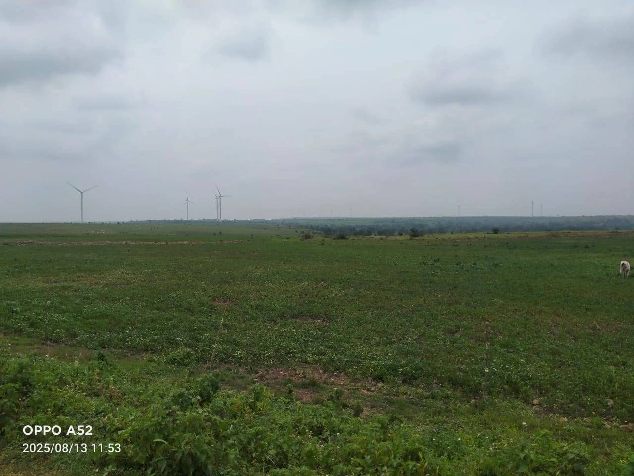 Shajapur, Madhya Pradesh 465001, India
