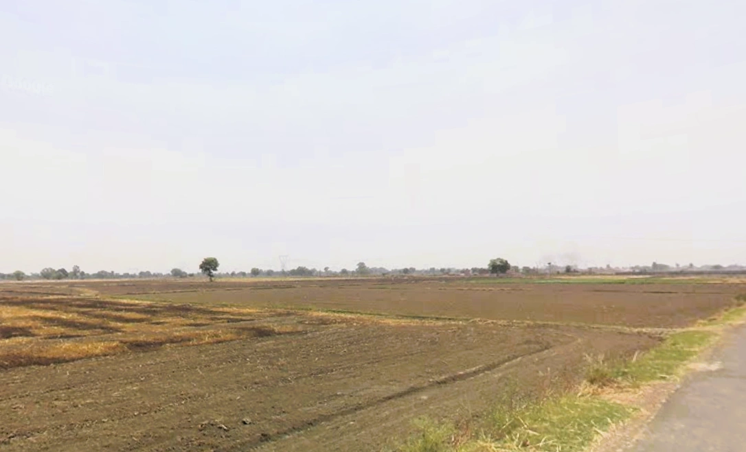 Pirthla, Haryana, India