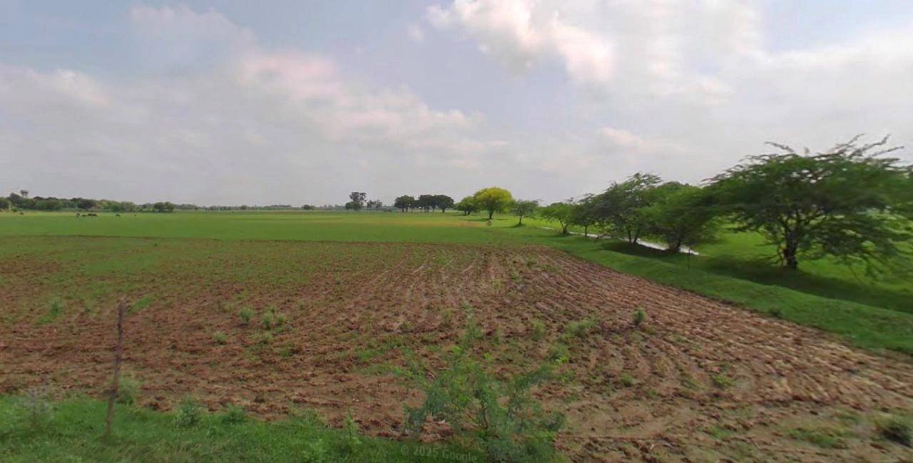 Sri Ganganagar, Rajasthan, India