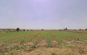 Alwar-Tijara Rd, Bhindoosi, Rajasthan, India preview 3