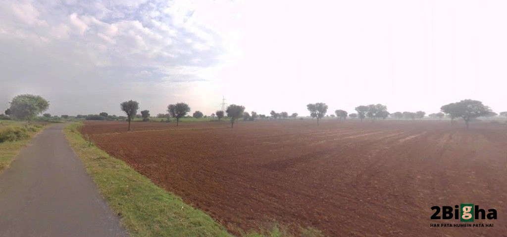 Barodameo, Rajasthan 301021, India