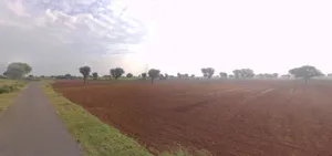 Barodameo, Rajasthan 301021, India preview 3