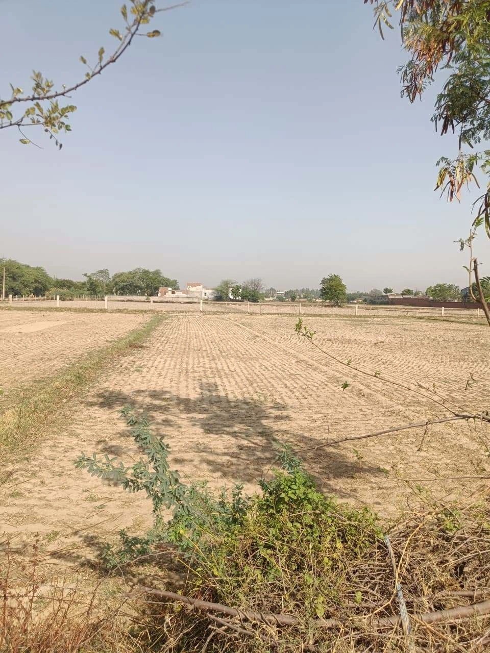 Ajhai Kalan, Uttar Pradesh 281406, India preview 2