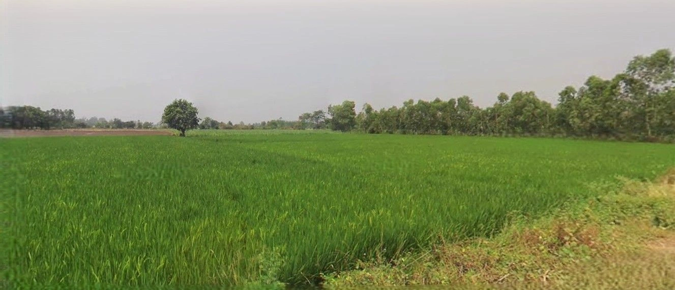 Sikandrabad, Uttar Pradesh 203205, India