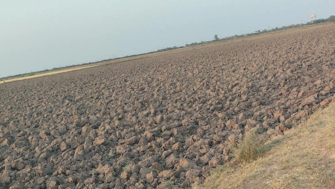 9555+FF Gamph, Gujarat, India